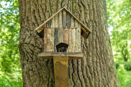 Wooden tree house for birdsの写真素材