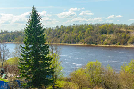The river Volkhov in the Leningrad region of Russiaの写真素材