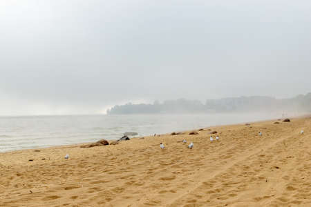The Baltic sea beach in Repino near St Petersburg, Russiaの写真素材