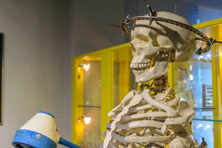 RUSSIA, KALININGRAD REGION, ZELENOGRADSK, - August 2016: the Museum of skulls and skeletons in hotel and entertainment centre Paradox in Zelenogradsk. The interior of the Museum.のeditorial素材