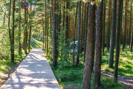 RUSSIA, VILLAGE of "MARINE"- August, 2016: the Curonian spit. Dune EFAのeditorial素材