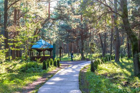 RUSSIA, VILLAGE of "MARINE"- August, 2016: the Curonian spit. Dune EFAのeditorial素材