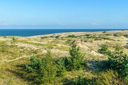 RUSSIA, VILLAGE of "MARINE"- August, 2016: the Curonian spit. Dune EFAのeditorial素材
