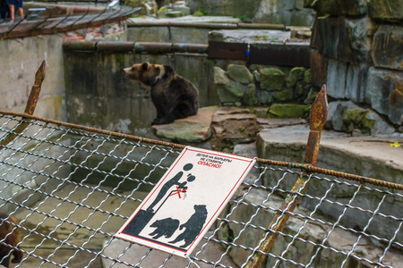 RUSSIA, KALININGRAD - August, 2016: Kaliningrad Zoo. The inscription on the cage with the bear: "DANGER! don't put children in a cageのeditorial素材