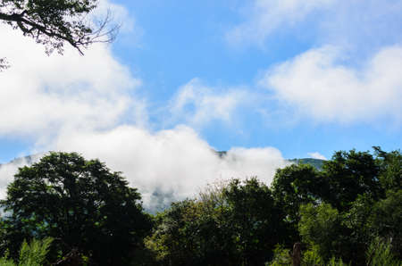 Landscape of mountains with a thick morning fog.