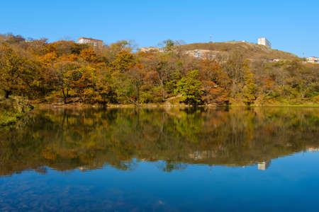 A pond near the city limits with reflections of adjacent high-rise buildings and autumn trees. Taken...
