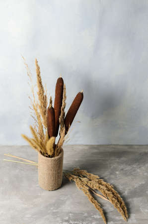 A bouquet of dry fluffy spikelets of grass and reeds in a decorative vase on a gray concrete surface and a blurred textural background. Selective focus.の写真素材