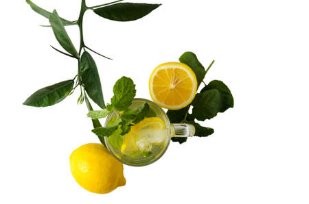 Water with lemon slices, mint leaves and ice. A cool drink to quench your thirst