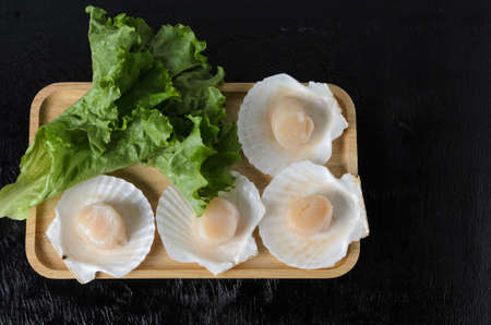 Natural raw scallop in a shell with a lettuce leaf in a wooden bowl on a dark background. Selective...