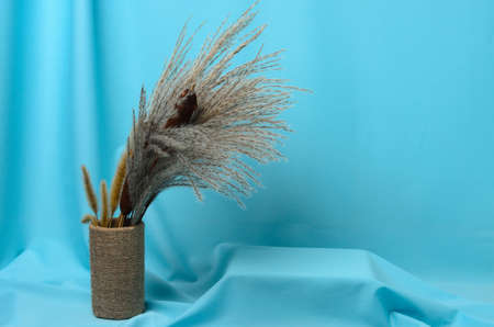 Autumn bouquet of cattails and reeds on a textured background made of soft blue fabric with elegant pleats. Selective focus.の写真素材