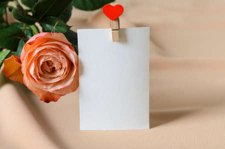 One delicate pink rose with a white card on a clothespin with a heart on a beige background. mockup. selective focus.の写真素材