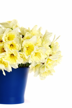Bouquet of daffodils in a blue vase isolated on white background. の写真素材