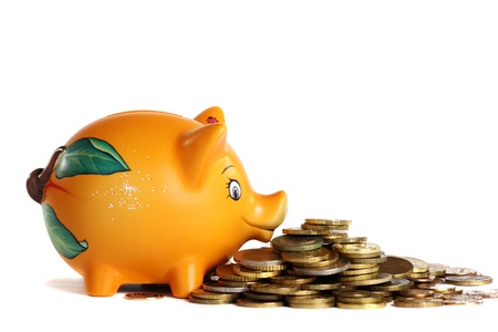 Lucky piggy bank isolated on white background. の写真素材