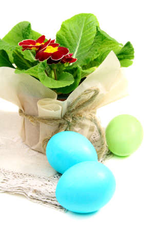 Easter eggs and primroses on a white background. の写真素材