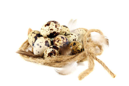 Colourful eggs in nest on a white background.の写真素材