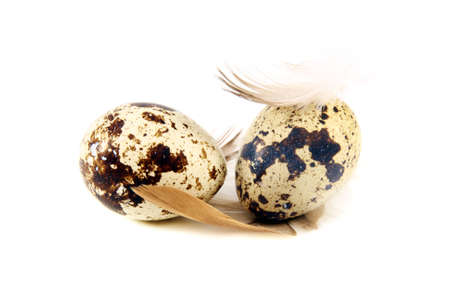 Colorful little eggs and feathers on a white background.の写真素材