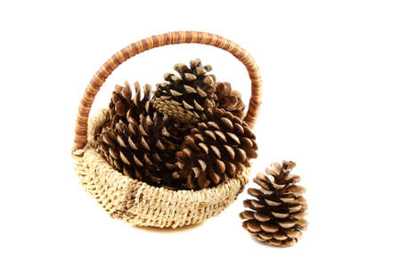 Pine cones in basket on a white backgroundの写真素材