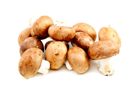 Fresh brown mushrooms on a white background. の写真素材