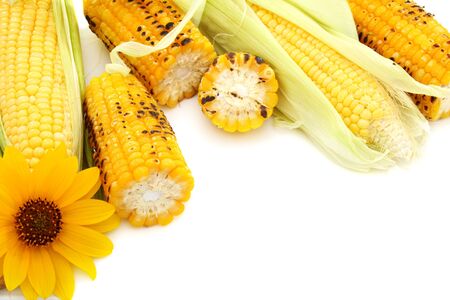 Fresh cobs with green leaves and grilled corn on a white background.の写真素材