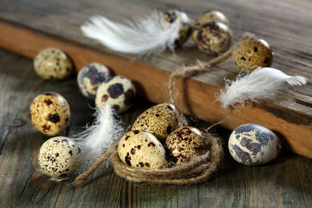 Colorful quail eggs on a wooden table の写真素材