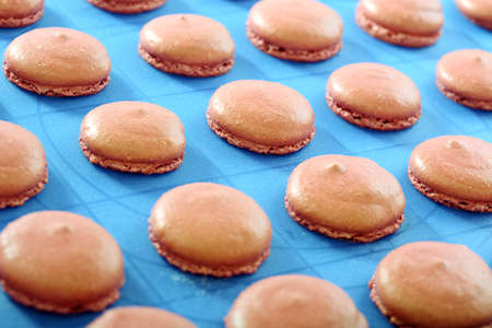 Almond cakes on a baking sheet with silicone coating の写真素材
