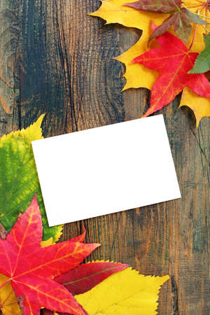 Colorful autumn leaves on the old wooden wall.