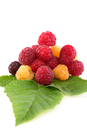 Red, white and black raspberries on a white background.