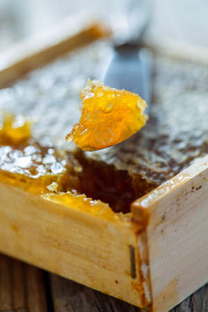 Honey comb pinch closeup.