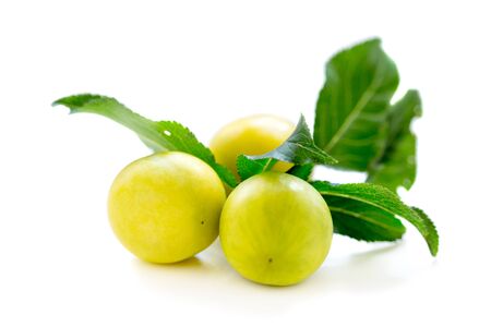Yellow plum with green leaves on a white background.の写真素材