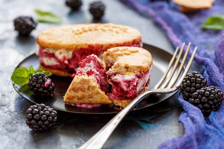 Ice cream cookie sandwich with blackberries and plug into sulphuric plate, selective focus.の写真素材