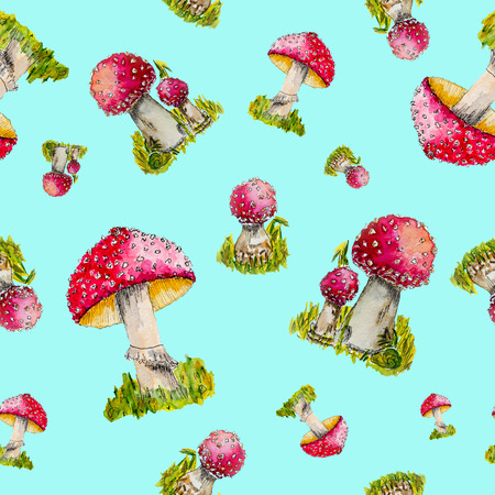 Seamless pattern with hand drawn fly agarics on light blue background.の写真素材