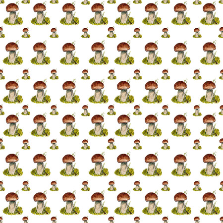 Seamless pattern with boletus mushrooms. Hand drawn watercolor isolated on white background.の写真素材