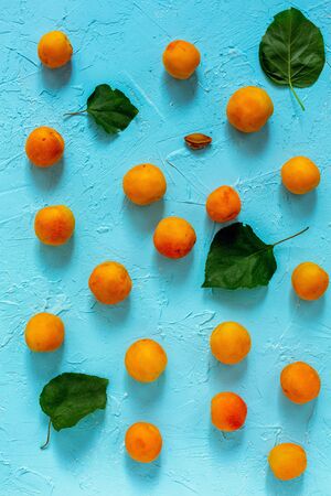 Ripe apricots and dark green leaves on a blue textured background. Top view.の写真素材