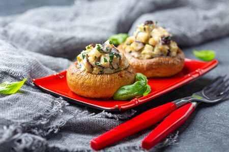 Baked mushrooms with minced eggplant, mushrooms, onions and greens on a red serving plate, selective focus.の写真素材