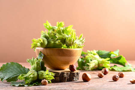 Green hazelnut fruit in a bowl on a wooden stand, a sprig of hazel and ripe hazelnuts, selective focus.の写真素材