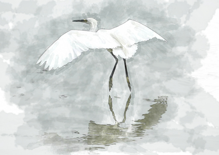 water color of bird.の写真素材