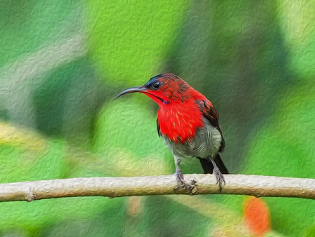 oil painting bird in green background.の写真素材