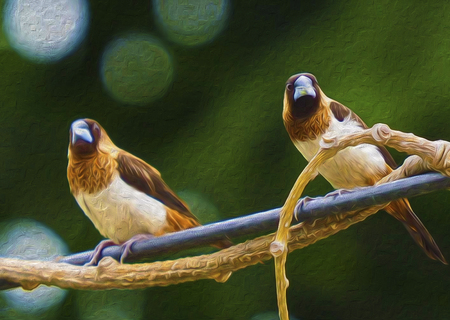 oil painting bird in green backgroundの写真素材