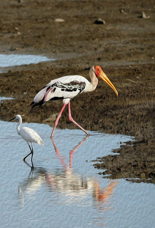 oil painting bird walk on the water.