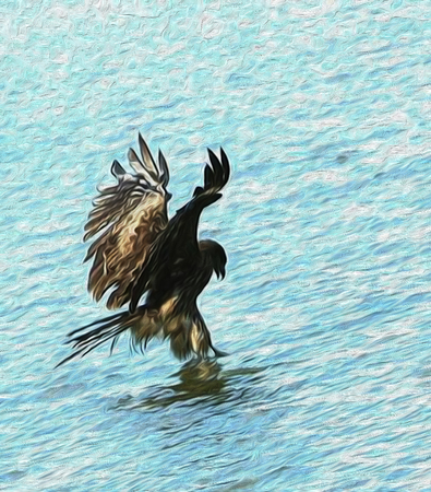 oil painting black hawk on the water.
