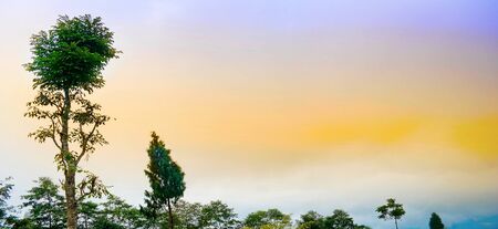 Rishop Landscape