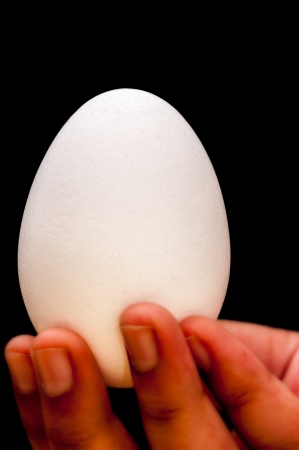 White egg, hand held, fingers, front lit, isolated, black background, copy spaceの写真素材