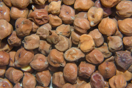 Dry Chickpea Chana Or Blackgram Background & Texture Close Up  Image.の写真素材