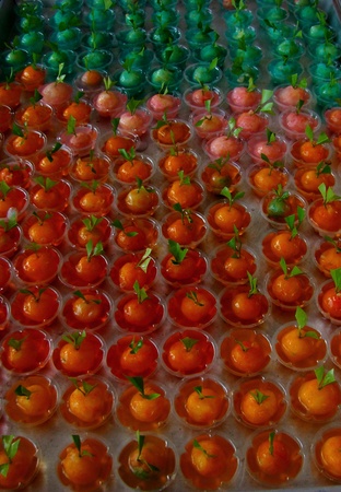 jelly Look Chup,thai dessertの写真素材