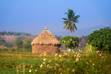 countrysideのeditorial素材