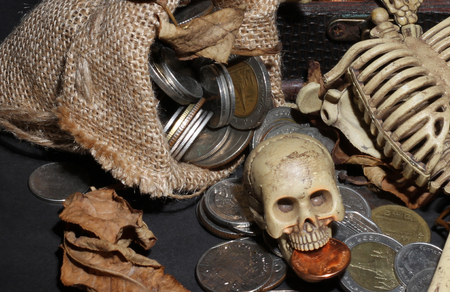 Bone guarding the treasureの写真素材