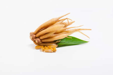 Kaempferia is a medicinal plant. It has a hot and bitter taste, relieves stomach ache, bloating,...