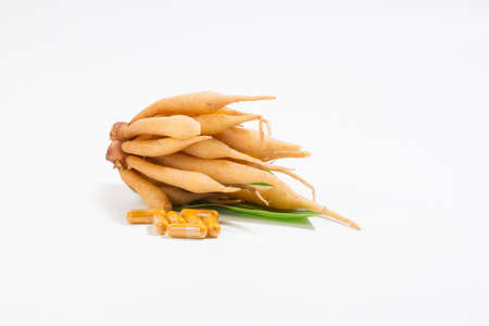 Kaempferia is a medicinal plant. It has a hot and bitter taste, relieves stomach ache, bloating, indigestion, tonic, tonic to libido, to cure sexual impotence. . It is a remedy for hemorrhoids.の写真素材
