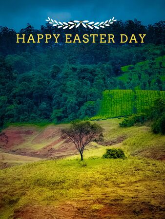 Happy Easter Day concept with solo tree on the center for the lake and background full of tea forestの写真素材