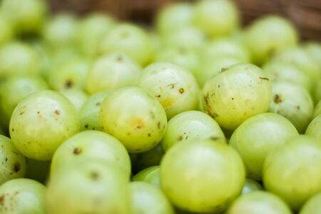 Fresh Amla fruit on local market closeup . Gooseberry for sale in bazaar market. Indian gooseberry (Phyllanthus emblica), Malacca tree, or amla fruit. Emblic fruits for sale in the fruit marketの写真素材